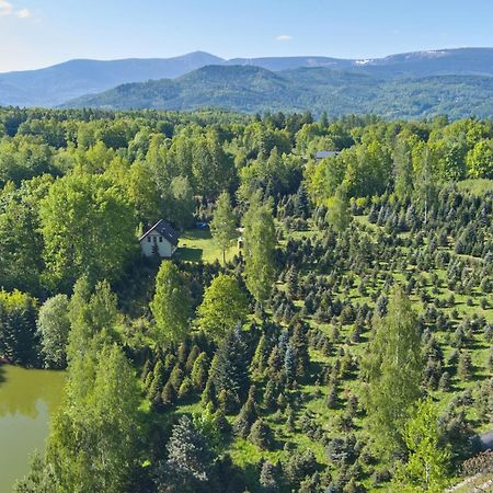 Agroturystyka - Srebrny Las Staniszow Buitenkant foto