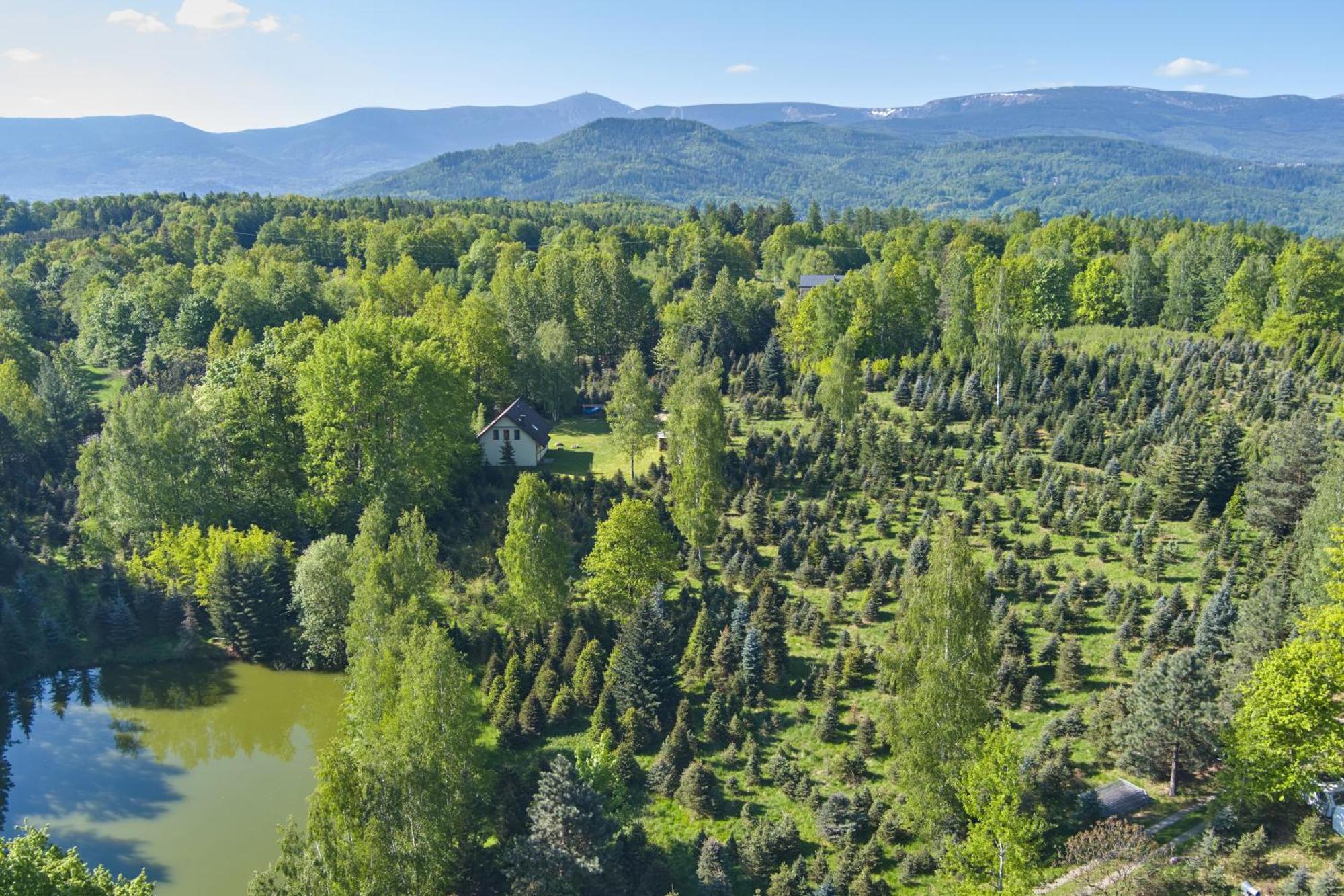 Agroturystyka - Srebrny Las Staniszow Buitenkant foto
